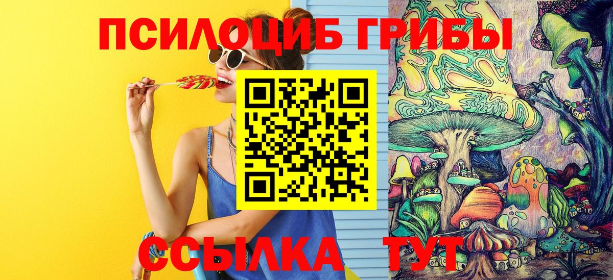 Слободской  Галлюциногенные грибы прущие грибы  Вход с VPN 